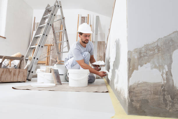 Best Drywall Sanding and Smoothing  in Mountain City, GA